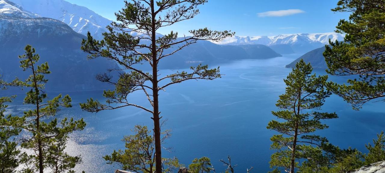 Mlodge - The Mountain Lodge ซงดาล ภายนอก รูปภาพ