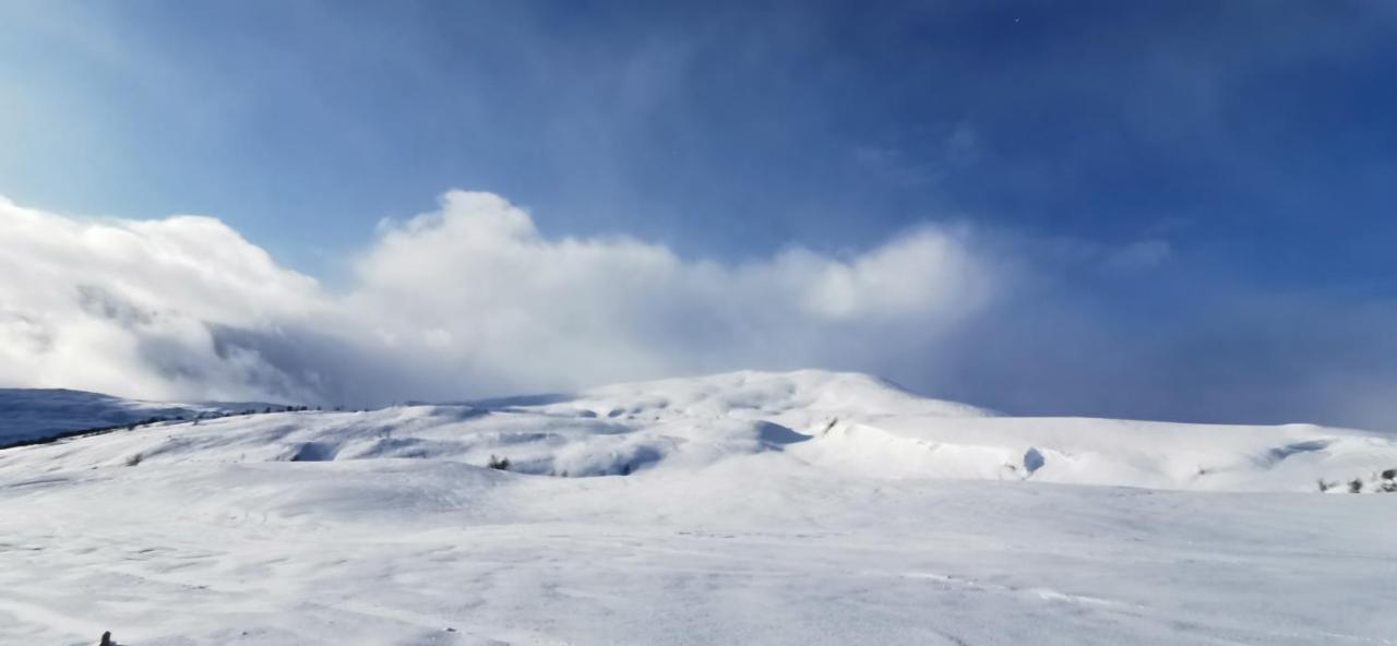 Mlodge - The Mountain Lodge ซงดาล ภายนอก รูปภาพ