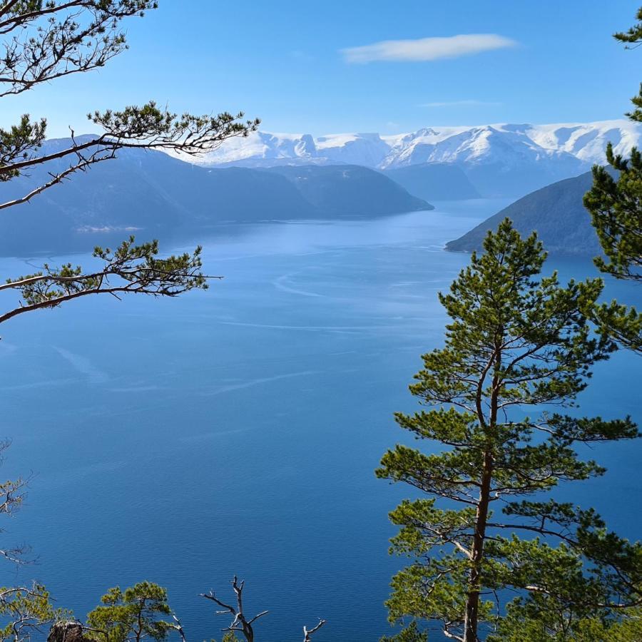 Mlodge - The Mountain Lodge ซงดาล ภายนอก รูปภาพ